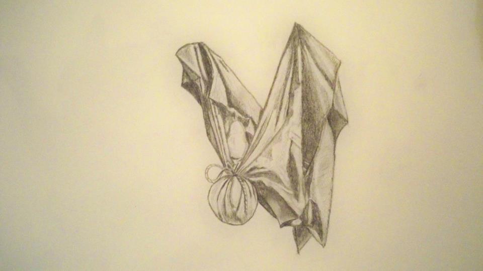Michele drapery study