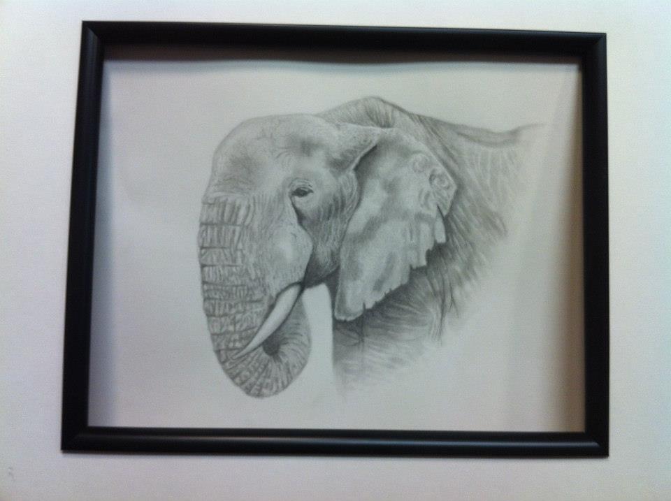 drawing-class4_michele-colavolpe-antisdel